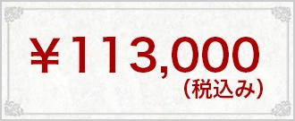 ¥113,000(税込み)