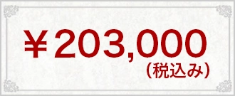 ¥203,000(税込み)