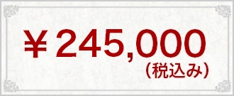 ￥245,000(税込み）