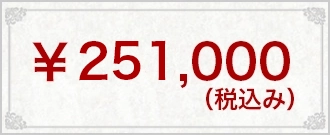 ￥251,000(税込み）