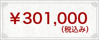 ¥301,000(税込み)